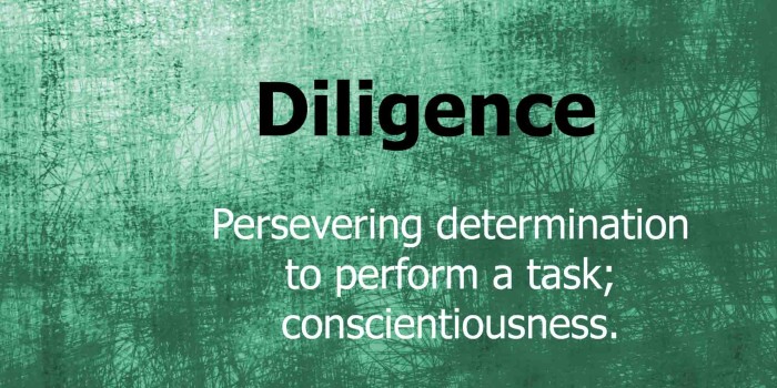 Diligence Rules – Motivational