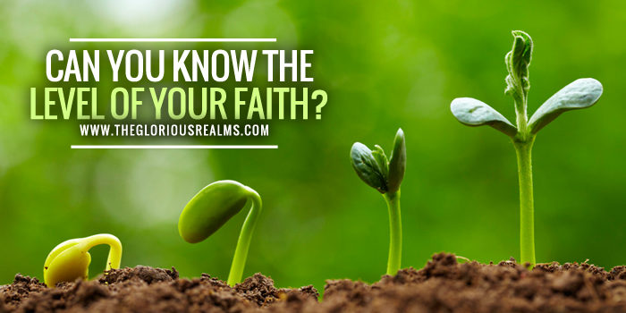 Can you know the Level of your Faith?