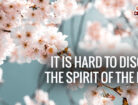 It is Hard to Disobey the Spirit of the Lord