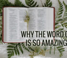 Why the Word of God is so Amazing – Part 1