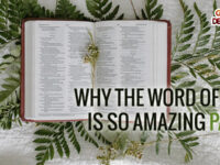 Why the Word of God is so Amazing – Part 1