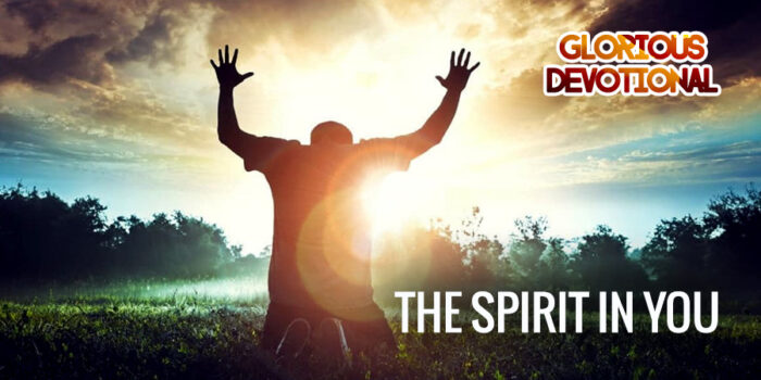 the spirit in you