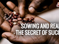 sowing and reaping