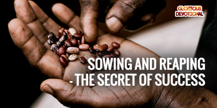 sowing and reaping