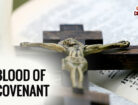 the blood of the covenant