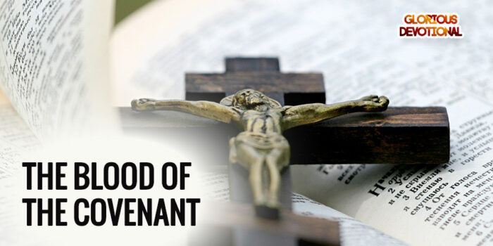 the blood of the covenant
