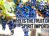 fruit of the spirit