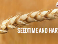 seedtime and harvest