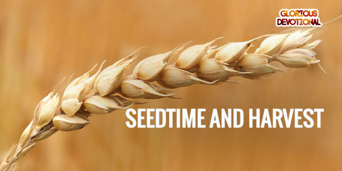 seedtime and harvest